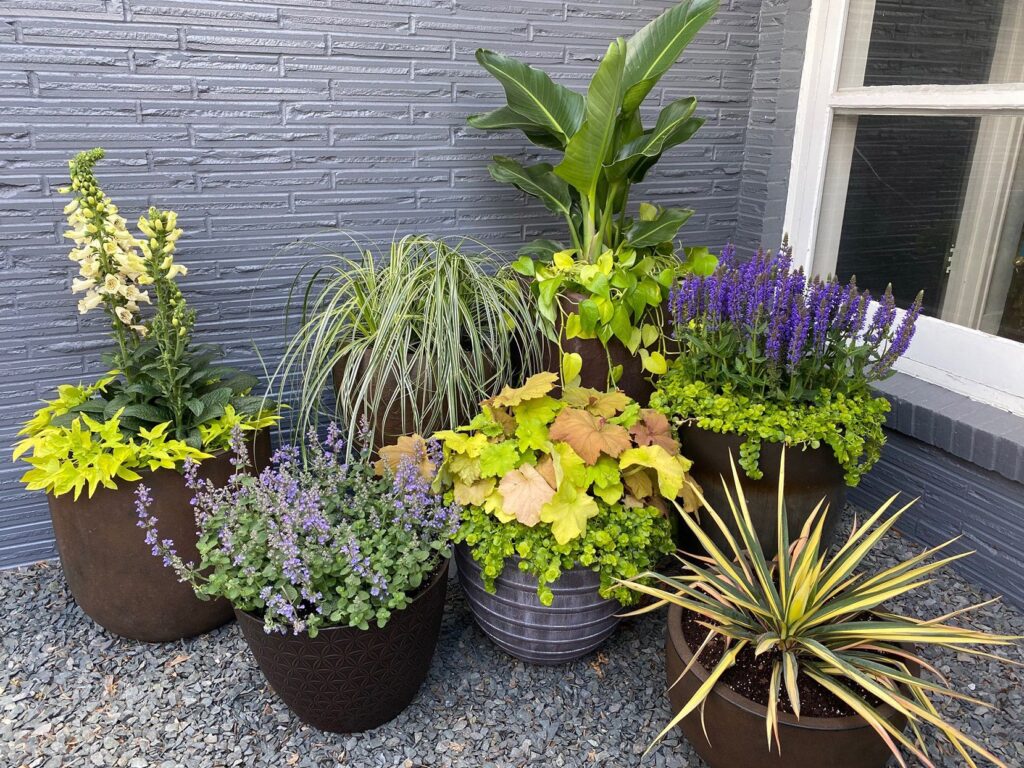 Small Patio DIY Ideas Add some greenery and color with plants and flowers in patio area