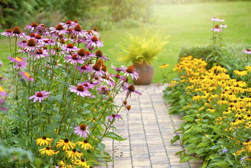 Perennials for Small Patio DIY Ideas