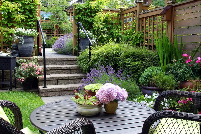 Outdoor Plants and Planters for patio