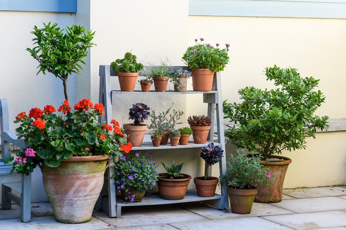Planters and Pots for Small Patios space