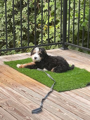 Patio prt potty