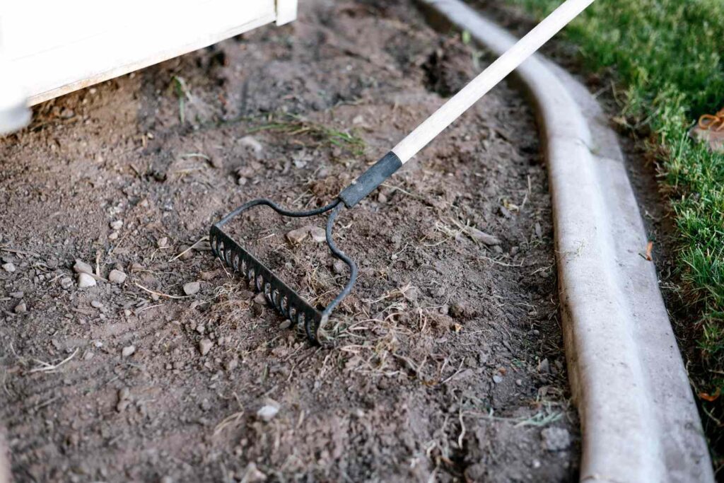 clear the area of any debris, weeds, or plants and level the ground